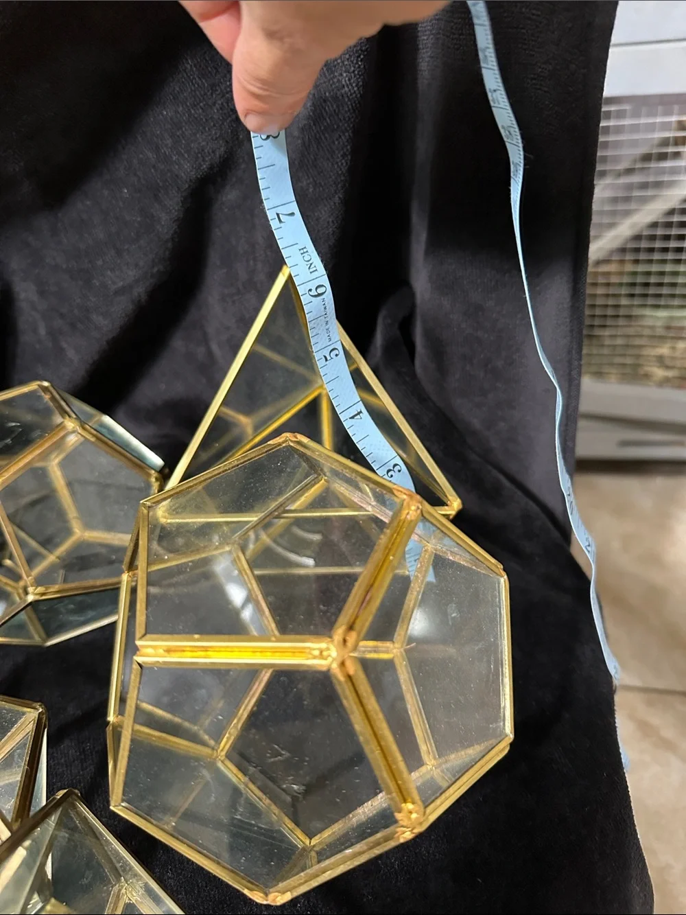 Geometric Glass Terrarium Set of 5